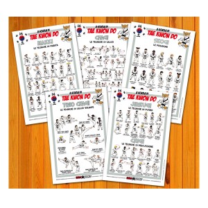 Poster set of  Taekwondo 30x45